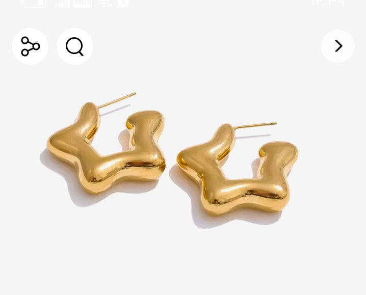 40448 gold plated Earrings
