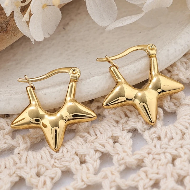 40202 Gold Plated Earrings