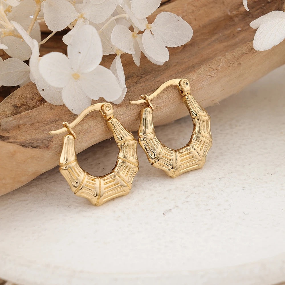 40209 Gold Plated Earrings