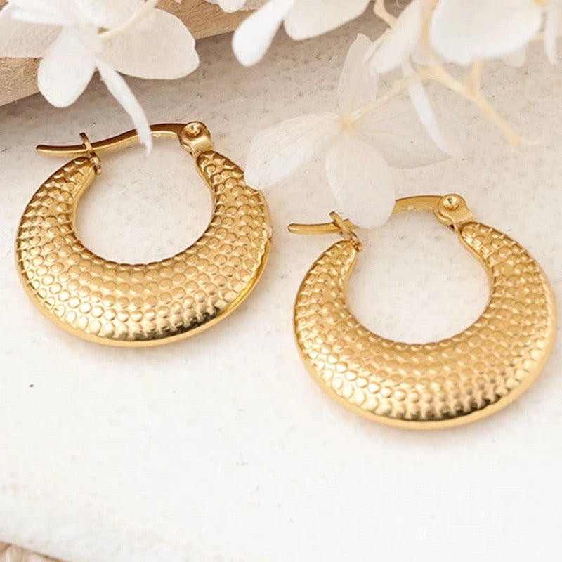 40206 Gold Plated Earrings