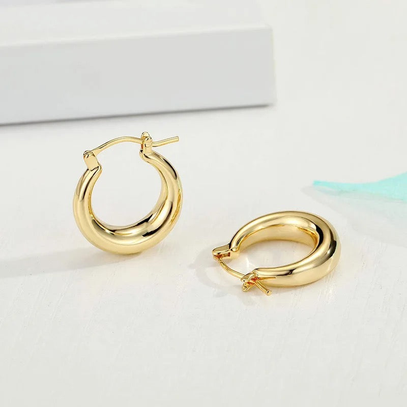 40143 Gold Plated Earrings