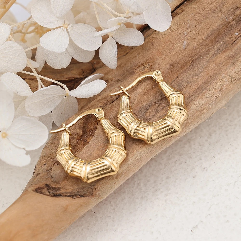 40209 Gold Plated Earrings