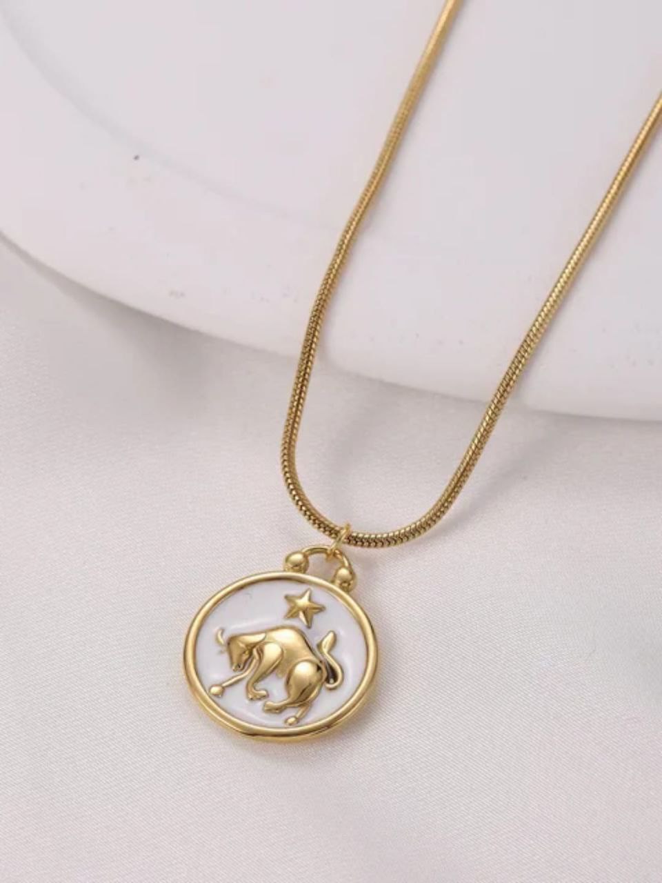 10884 Zodiac Sign Necklace