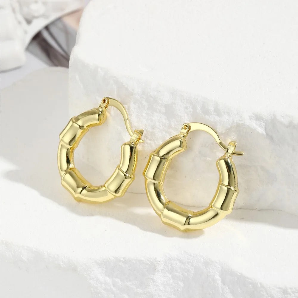 40178 Gold plated Earrings