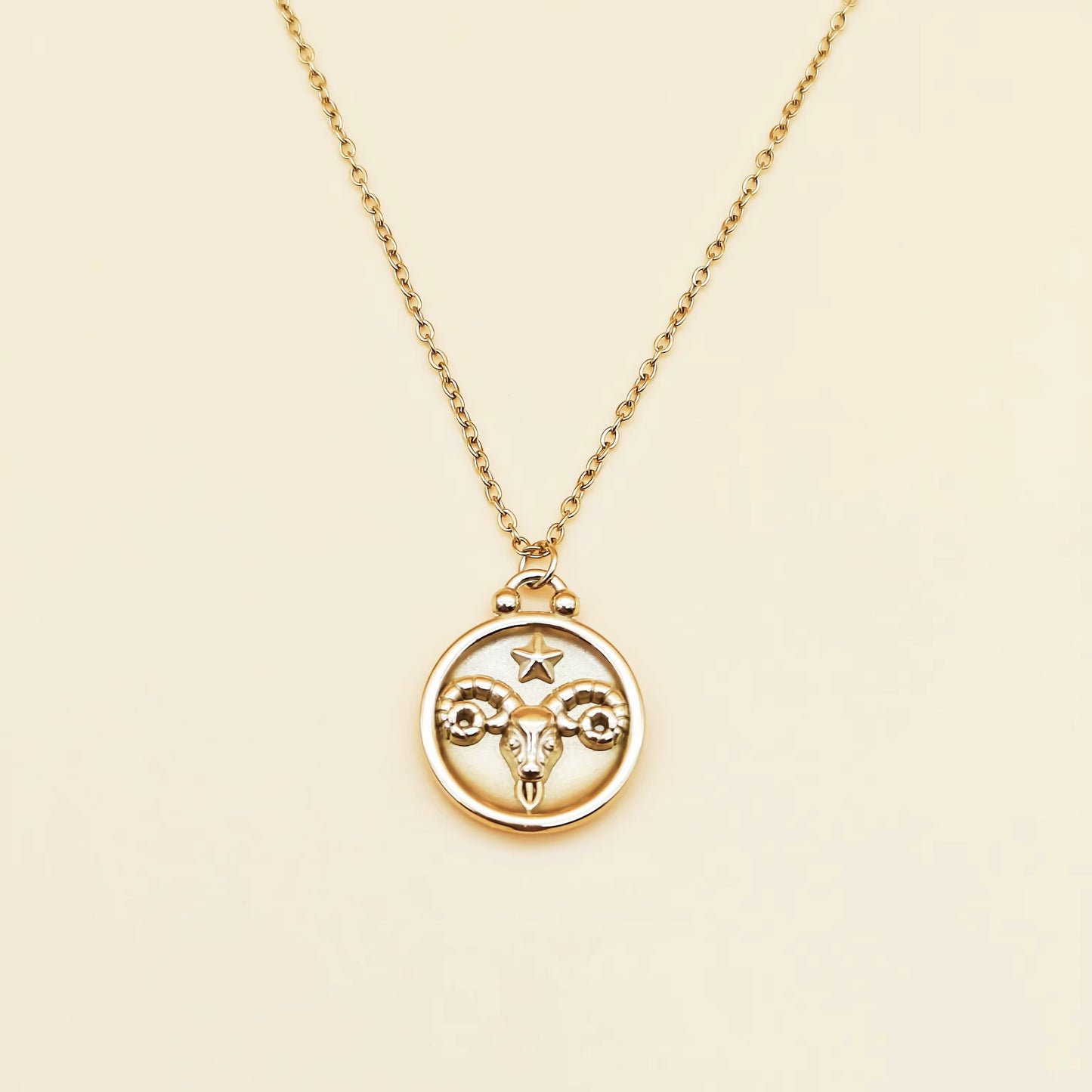 10883 Zodiac Sign Necklace