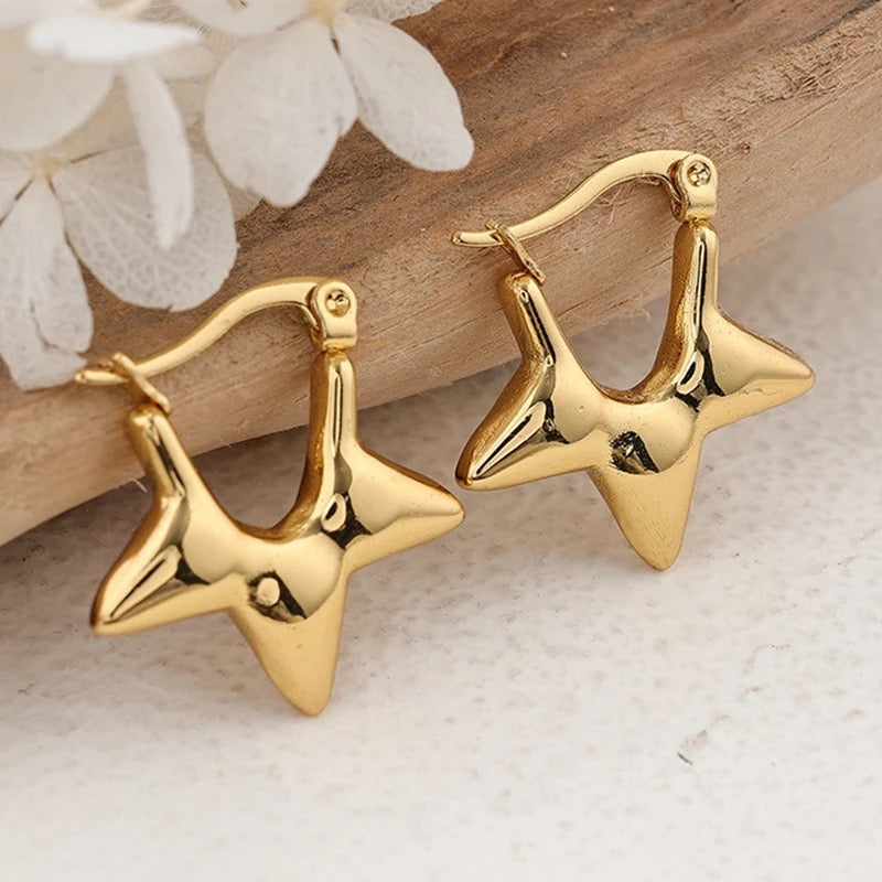 40202 Gold Plated Earrings