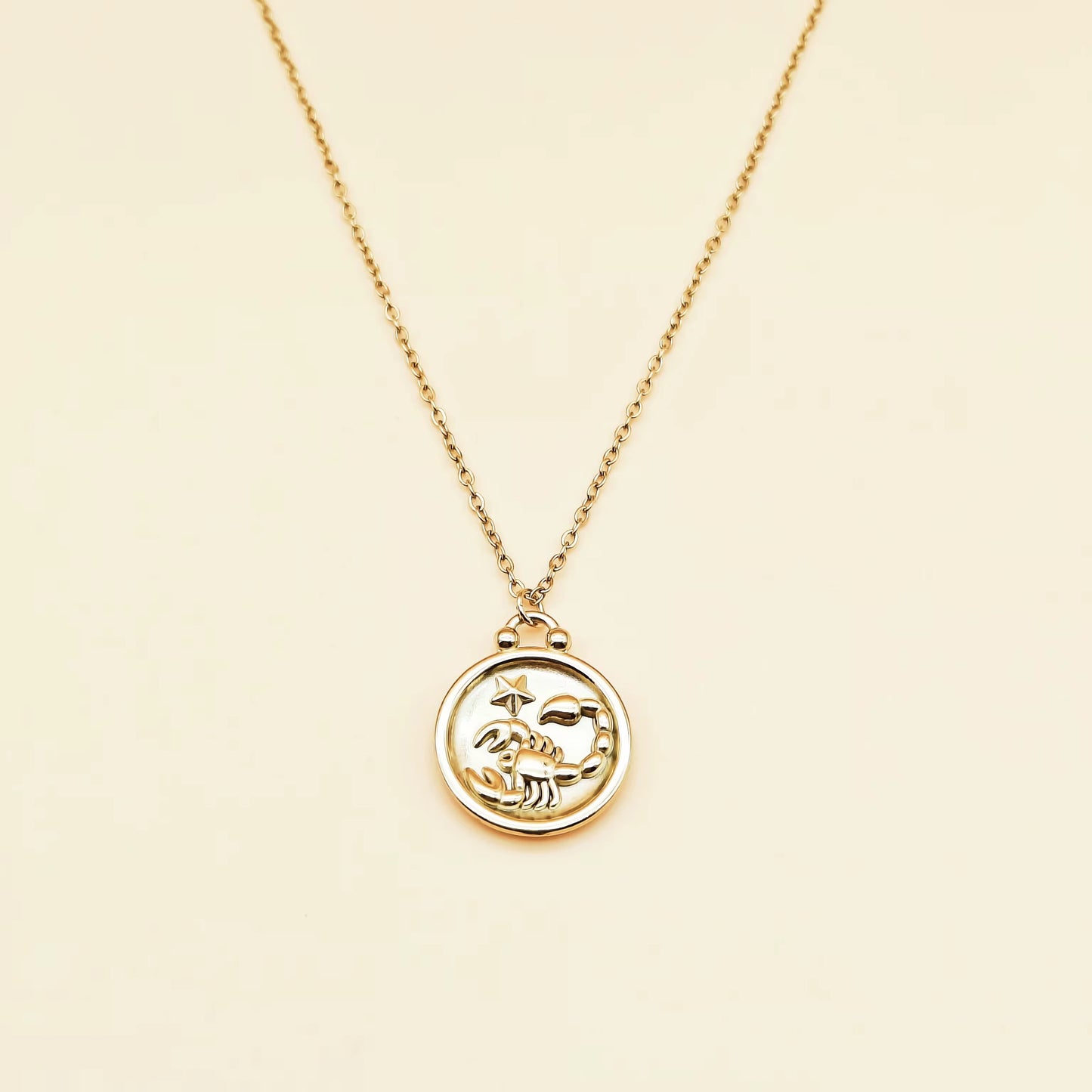 10883 Zodiac Sign Necklace