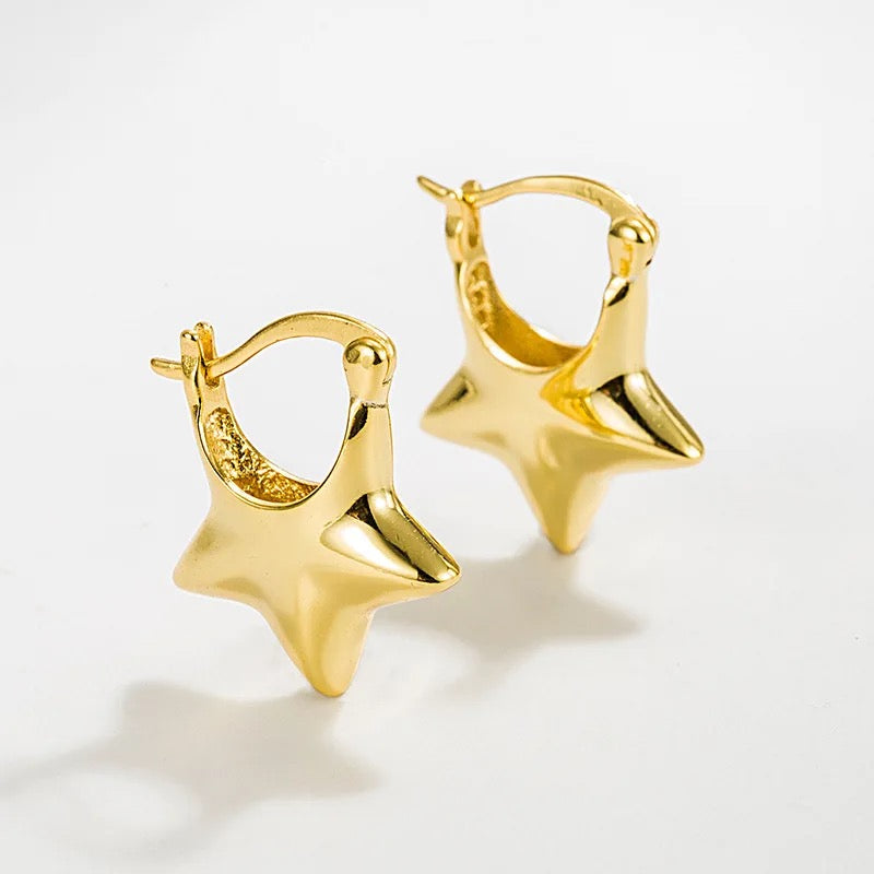 40202 Gold Plated Earrings