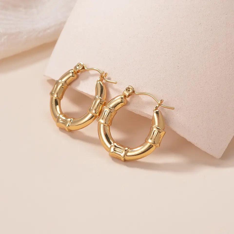 40178 Gold plated Earrings