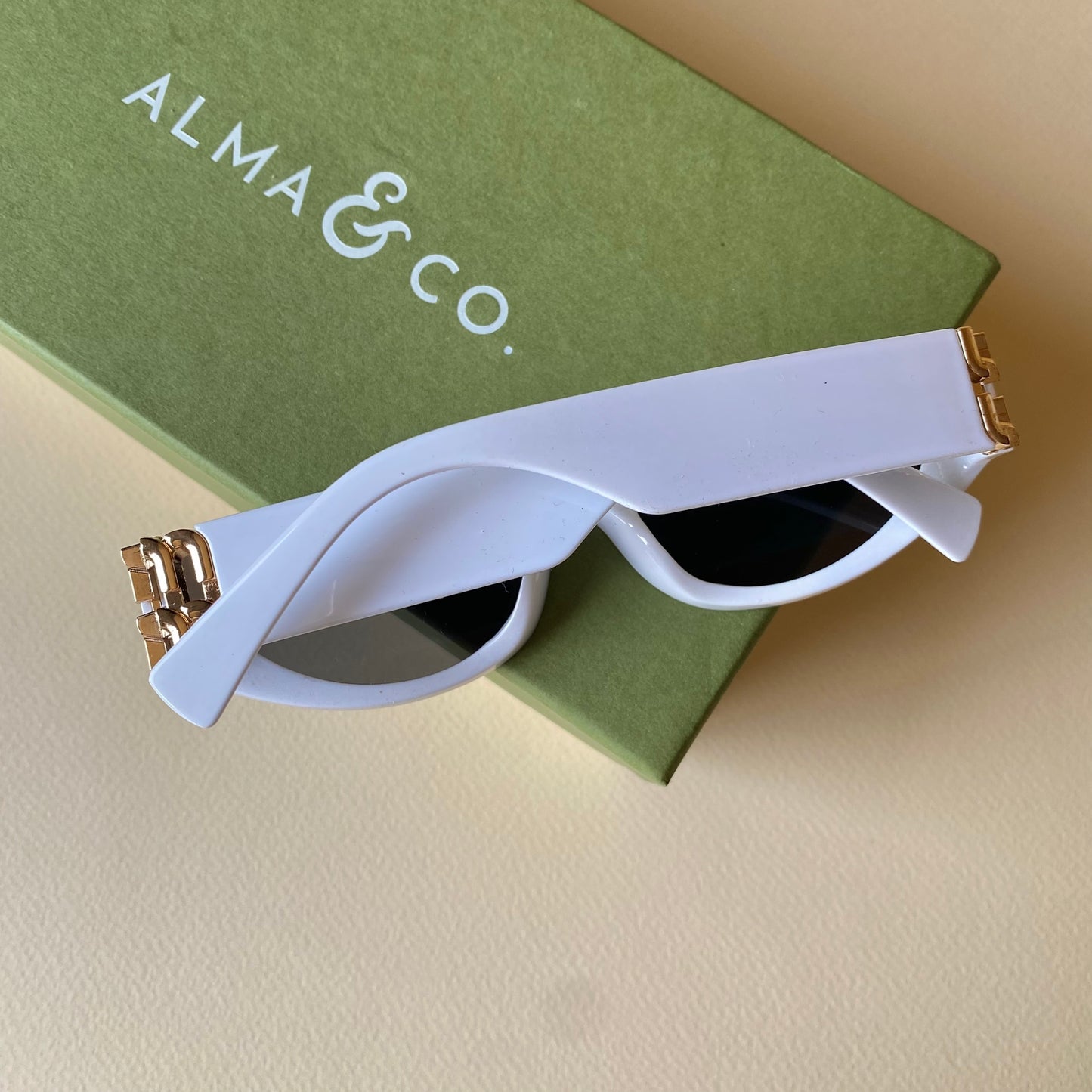 0001-2 Chunky Oval Sunglasses