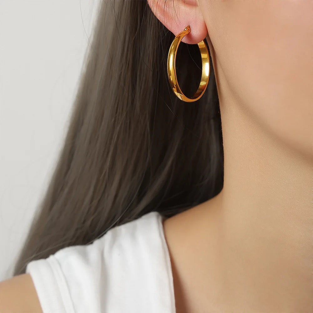 40201 Gold Plated Earrings