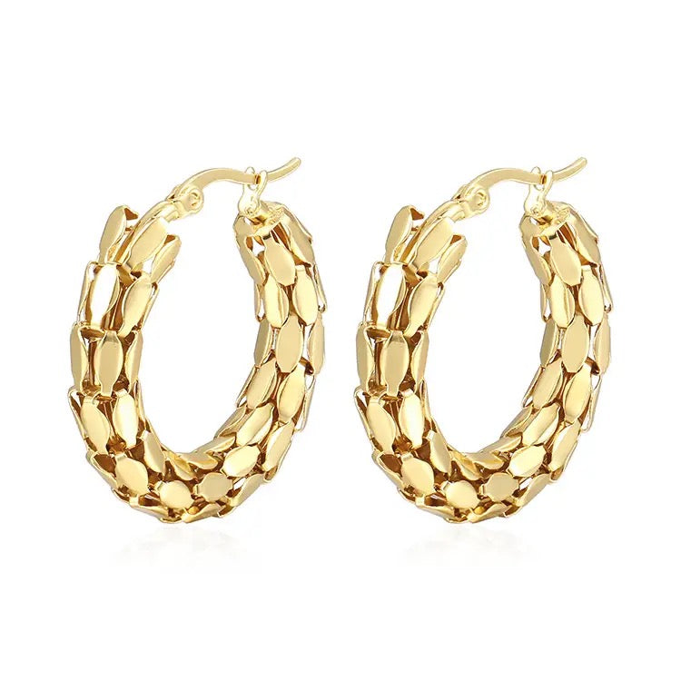 40219 Gold Plated Earrings