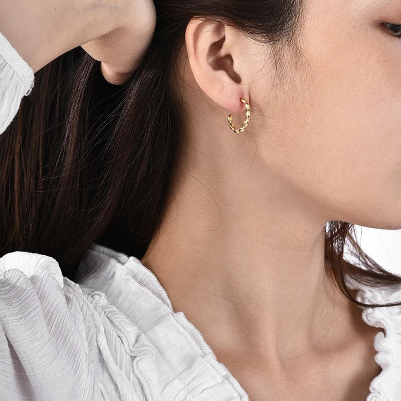 40161 Gold Plated Earrings