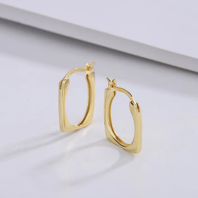 40031 Gold Plated Earrings