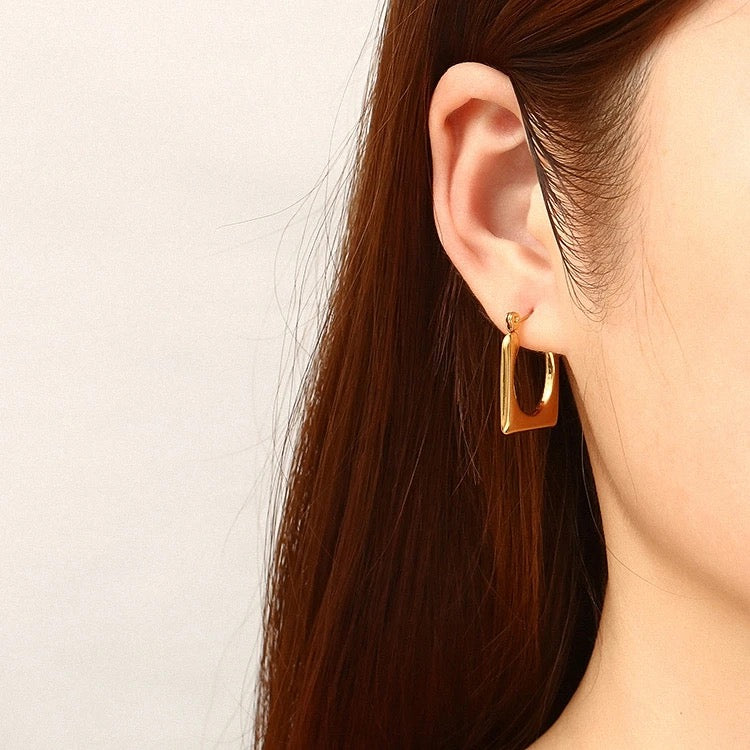 40031 Gold Plated Earrings