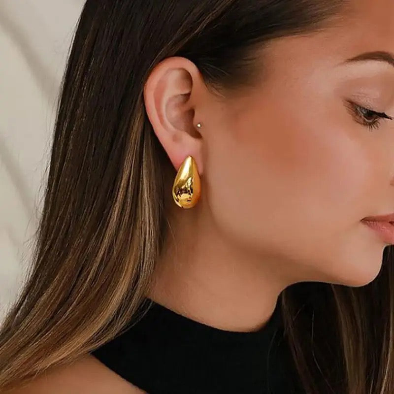 40173 Gold plated Earrings