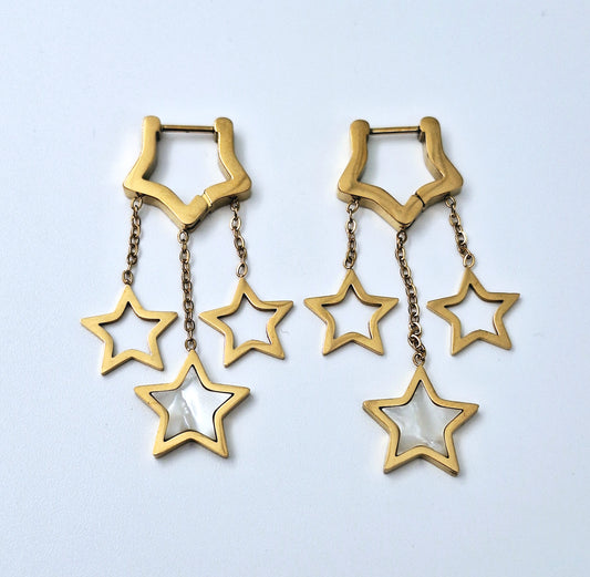 40264 gold plated Earrings